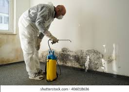 Best Mold Remediation for Healthcare Facilities  in Croton On Hudson, NY